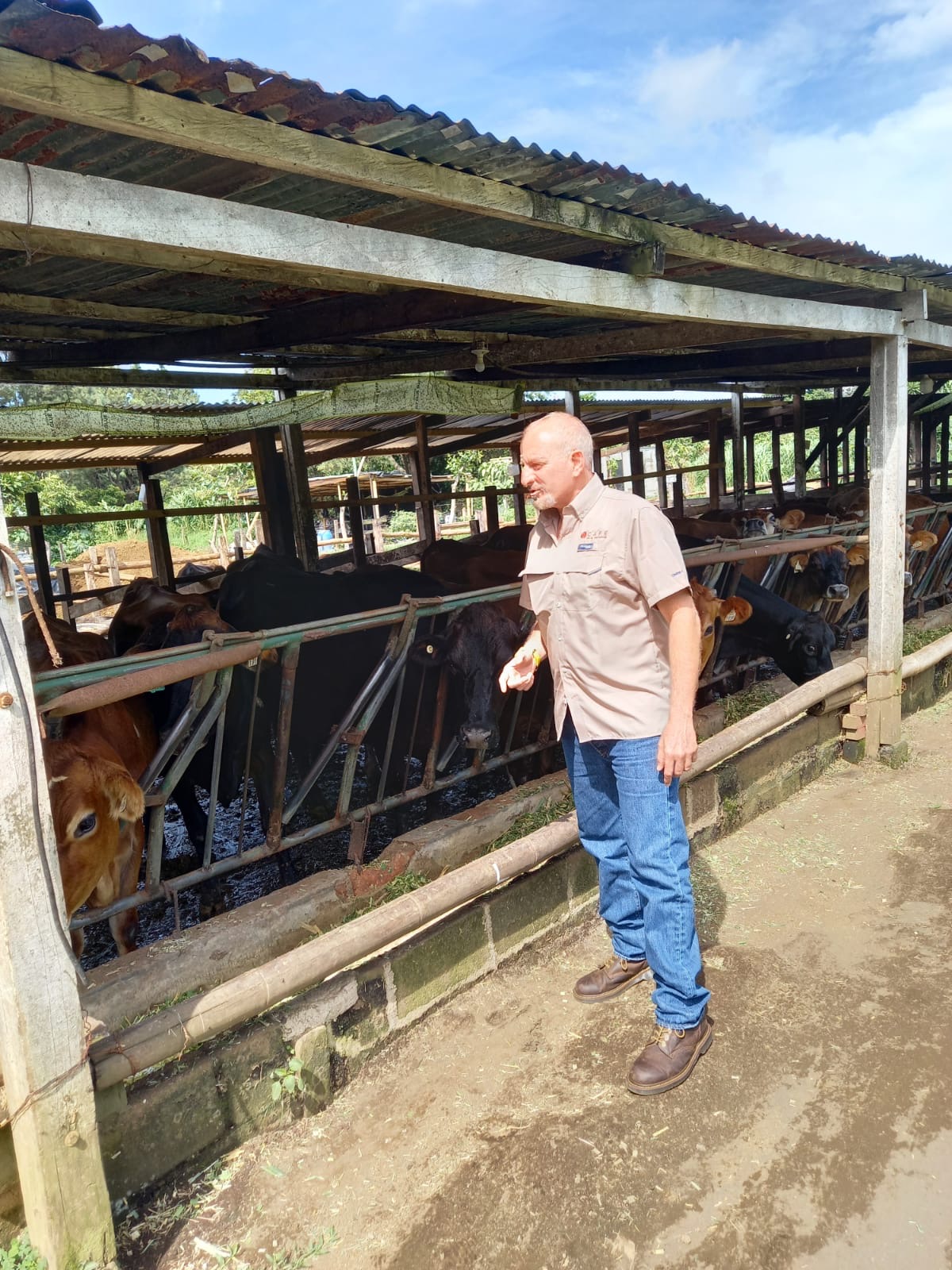 Alex Hasbun inside a livestock facility with cattle